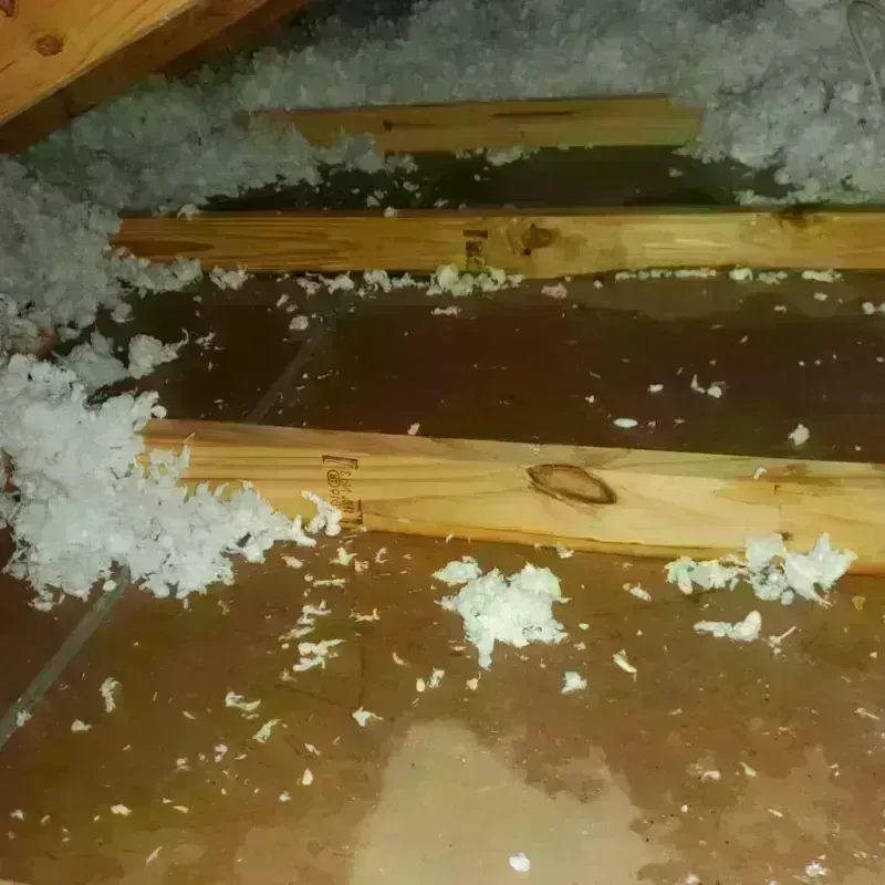 Attic Water Damage in Speedway, IN